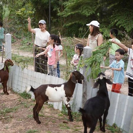Xaiyong Resort - ไทรโยงรีสอร์ท Buri Ram Eksteriør billede